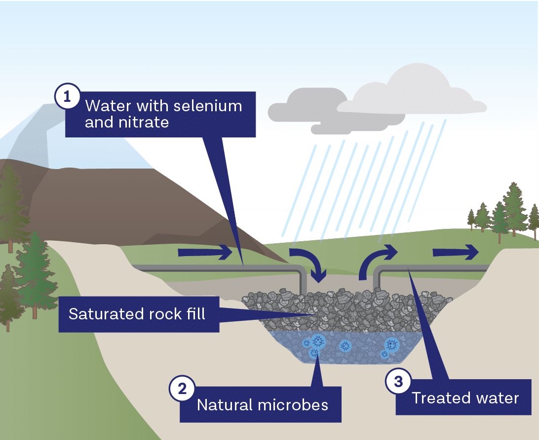 Teck Resources Elk Valley Water Treatment Program